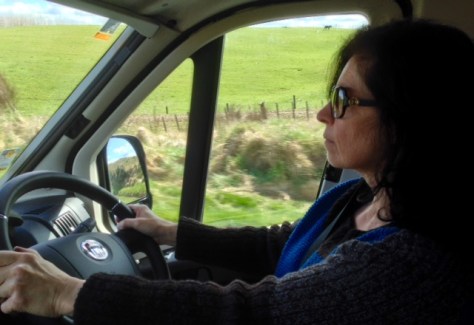 Down the western side of Taupo