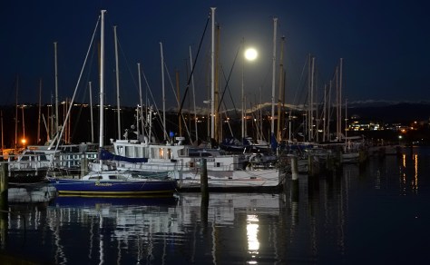 Evans Bay Marina