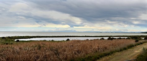 Lake Ellesmere from the Little River road