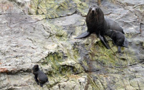 Mum looking after the kids
