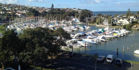 The view over Milford Marina 