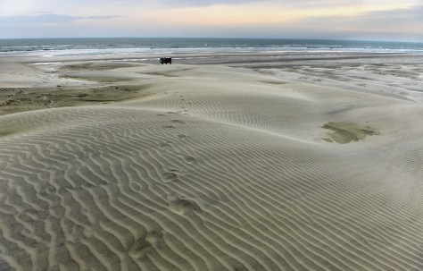 Footprints leading up from the Bus