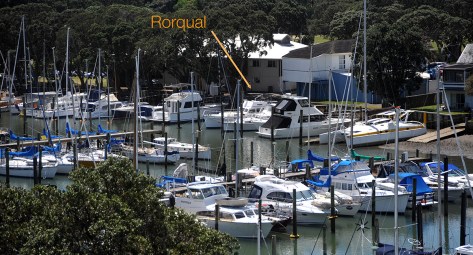 Rorqual in front of the Cruising club 