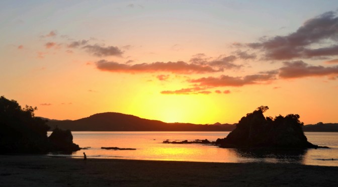 Testosterone overload on SH1