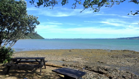 The end of the peninsula looking towards Marsden Point