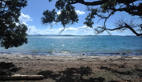 Across Kawau Bay