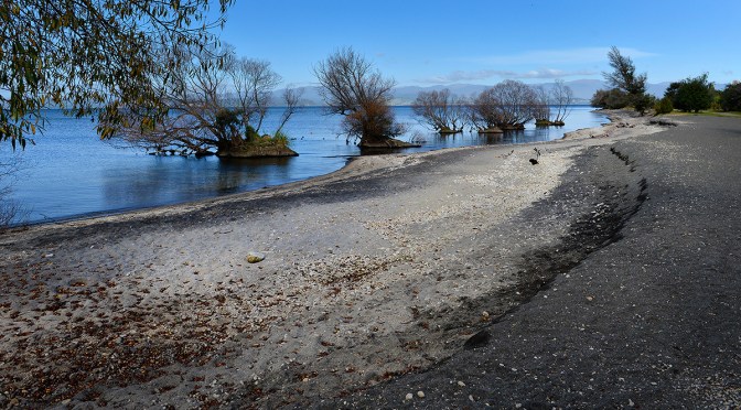Down by the Riverside