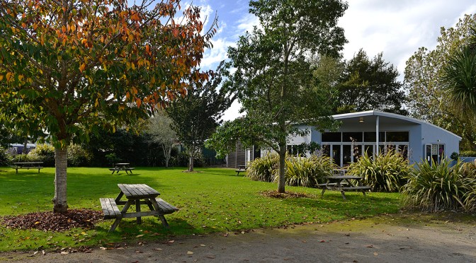 Persimmon at Pirongia