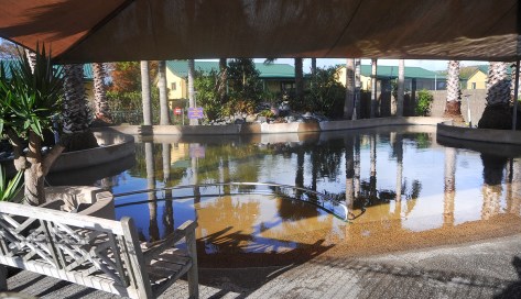 The Hot pool at Miranda