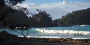 Surfing at Moureeses Bay