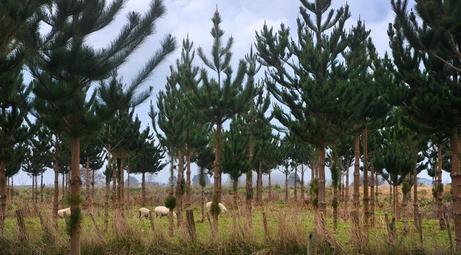 One of my favourite Motorcamps