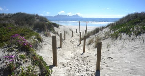 What a wonderful sight