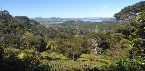 The view from the viaduct