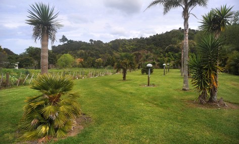 Nicely set out grounds