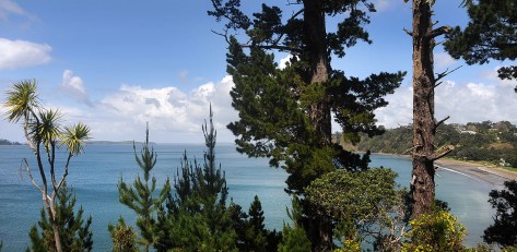 From the Scandretts track with Martins bay and Whangaparoa in the distance