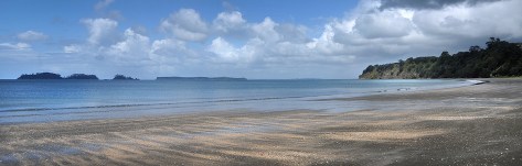 Moturoa Island and Whangaparoa in the distance
