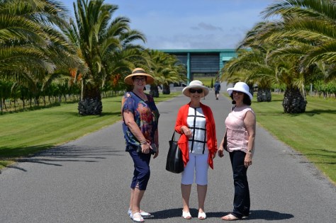 Dianne, Helen and Fiona walking to the vineyard.