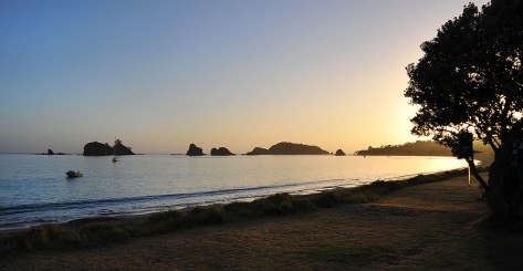 First Thing.. well worth getting up for :-)