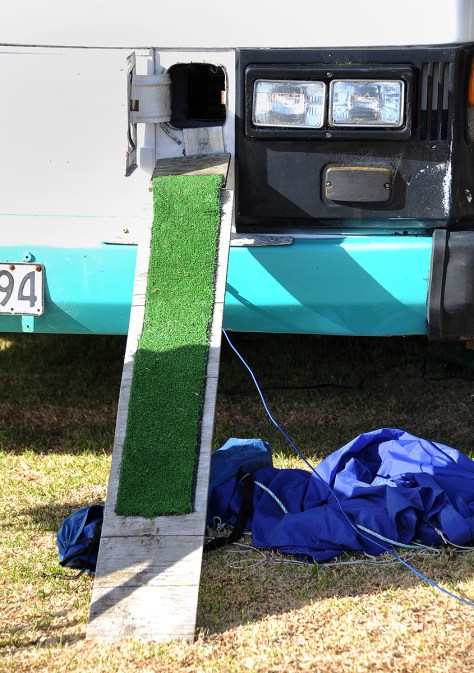 The cat Flap and ramp