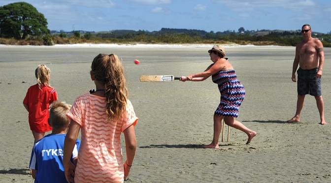 Cricket on the mudflats