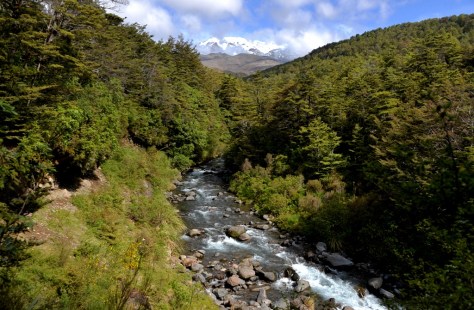 The river behind the parks. The parks are on the left in the trees.
