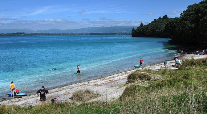 The Busiest Bay around