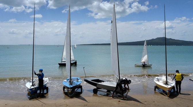 Narrow Neck Sunshine