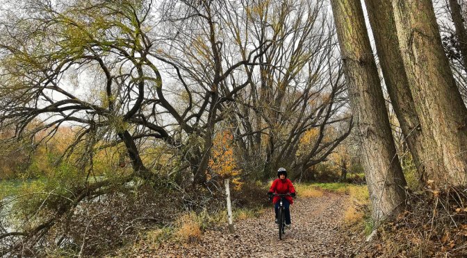 Alexandra to Clyde River Bike Trail