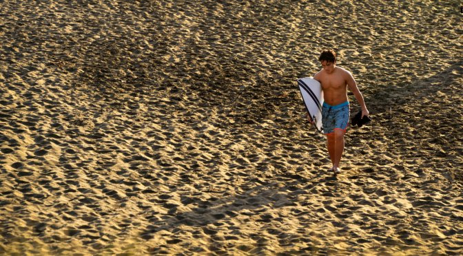 Lounging at the Lion – Piha