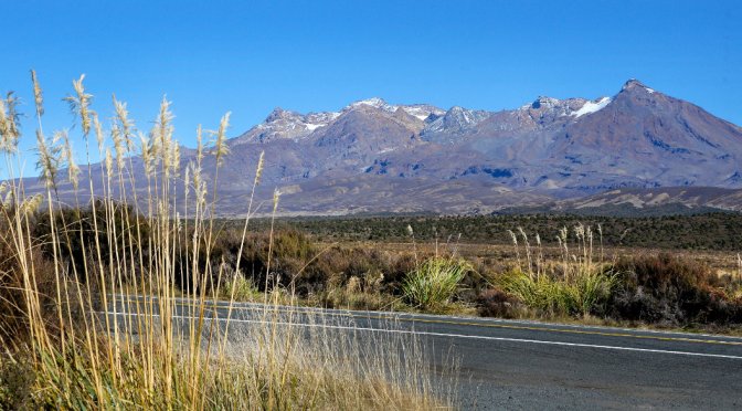 Away to the Sunny Wairarapa